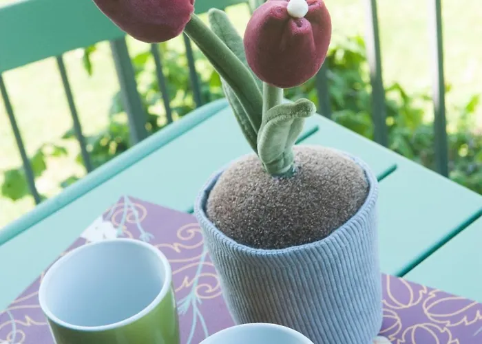 Apartman Casa Di Olly *